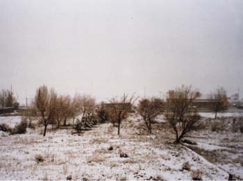 Desde mi ventana 2