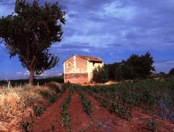 La Caseta