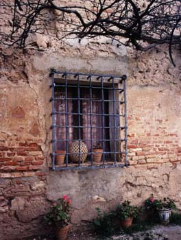 Rincn abandonado = Parra muerta