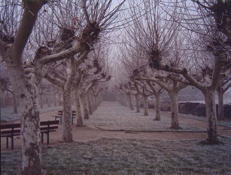 En el Puy