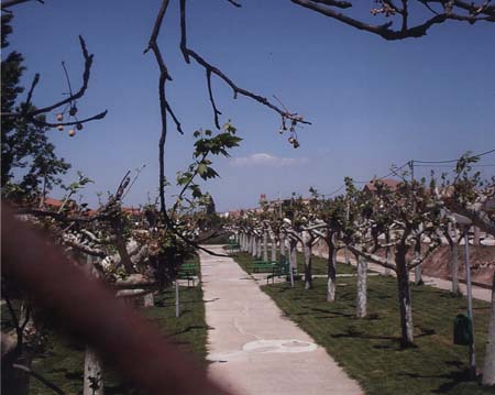 Paseo de primavera