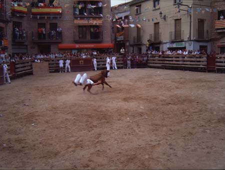 Saltando la vaca