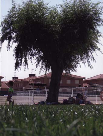 Vista desde el csped