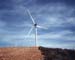 Movidas por el viento