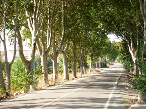 Carretera Tudela