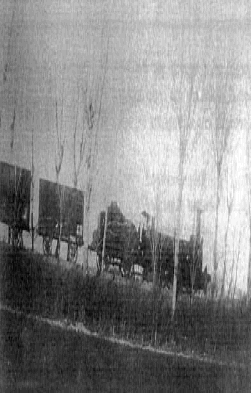Tren Vergara